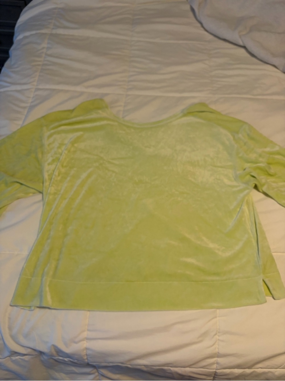 We The Free Pastel Lime Velvet Tank